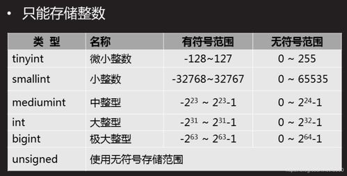 MySQL数据库服务 从构建到管理的全面指南